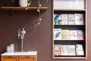 Modern interior design featuring a wooden magazine display shelf with a variety of magazines and a green plant on the wall.