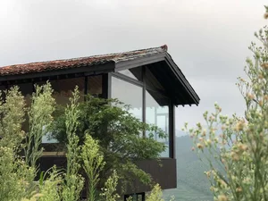 Modern house with glass window and surrounding greenery.