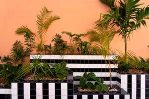 A modern indoor plant display featuring concrete tiles and various green plants.