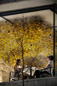 Two individuals seated at a modern restaurant with industrial design elements, including metal chairs and glass walls.