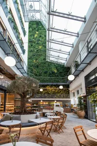 A modern cafe restaurant with concrete floors, walls, and ceiling, featuring a vertical garden wall, wooden furniture, and po