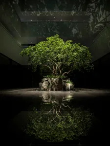 一處當代藝術裝置，在黑暗寬敞的空間中，以混凝土元素圍繞一棵樹。