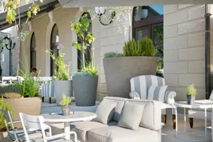 Outdoor seating area with contemporary furniture and green plants