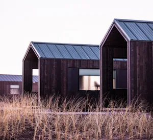 Modern, black, wooden cabins with green roofs in a field of tall grass.