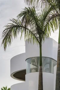 White modern building with curved glass facade surrounded by palm trees.
