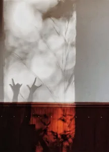 A shadow art installation featuring hands striking an 'I love you' gesture cast on a textured wall.