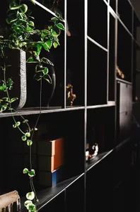 Industrial-style metal shelves with a concrete planter and green plant