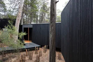 Black wooden house with a minimalist design surrounded by trees in a forest.