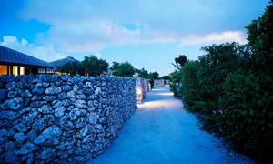 A stone pathway illuminated by lights