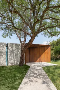 Concrete and wooden exterior of a modern residential entryway