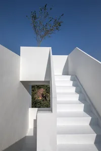 A minimalist concrete staircase with white railings and a tree on top.