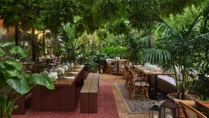 優雅布置的餐廳露台，搭配藤編家具、木質餐桌、綠植與布料點綴，適合室內外用餐。