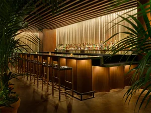 A modern wooden bar counter with stools, greenery, and a well-stocked bar.