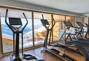 Modern gymnasium with cardio equipment and a scenic view of snowy mountains through large windows.