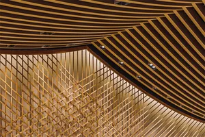 Modern interior architecture ceiling design featuring straight lines of wood