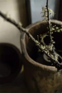 A minimalist art piece featuring a wooden vase with dried moss on a rustic wooden shelf.
