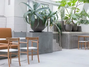 Modern industrial cafe interior with concrete furniture, flowers, and greenery.