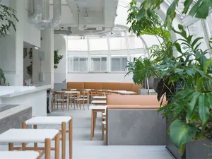 Modern cafe interior featuring concrete, wooden furniture, and green plants.