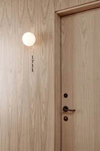 A modern door handle mounted on a wooden wall.