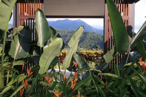 Green tropical plants and flowers with mountains in the background.