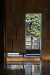 現代工業風大廳，混凝土室內設計，黑色花盆中種植一棵高大的松樹。