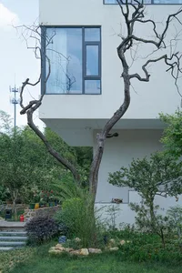 Modern house with concrete facade and glass window.