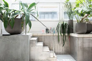 A modern staircase with concrete steps and planters filled with green plants.