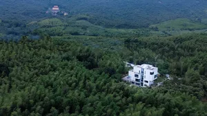 A minimalist, white residential house surrounded by lush bamboo forests.