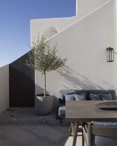 Modern outdoor patio featuring a concrete table, wooden chairs, and a potted olive tree.