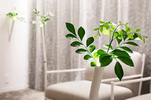 A minimalist green plant sitting in a sleek, white vase in a modern interior space.