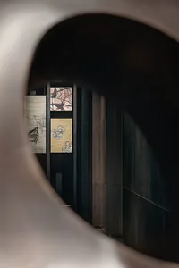 A modern interior corridor with dark wooden walls and framed artworks.