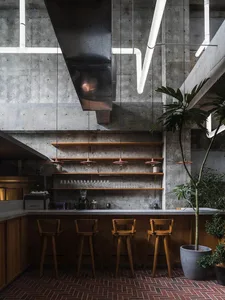 Industrial-style cafe bar with concrete walls, wooden stools, and green plant