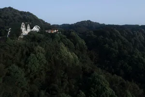 現代住宅，綠色屋頂俯瞰茂密綠林。