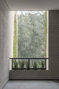 A modern interior space featuring concrete walls and large windows surrounded by greenery.