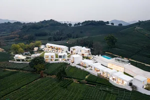 A residential complex nestled within a lush tea plantation, featuring modern architectural elements like concrete, glass, and