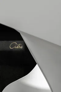 Metallic interior design element with the word 'Astra' on it