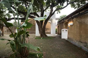 An urban garden with concrete pathways, plants, and a tree, surrounded by buildings.