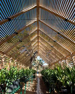 A greenhouse with a wooden lattice roof and open sides, allowing sunlight to filter in.