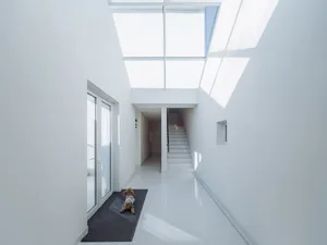 A minimalist interior space with concrete walls, large windows, and a single dog lying on a rug.