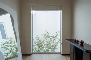 A modern living room with a large window, natural light, and green plants.