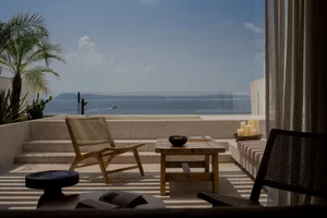 Modern patio with concrete floor, wooden furniture, and palm plants overlooking the ocean.