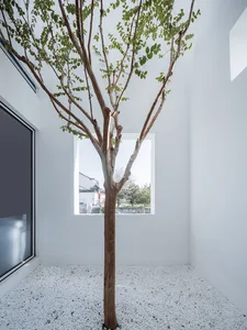 A minimalist interior space featuring concrete walls and flooring, with a central tree planted in a gravel bed.