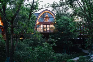 A modern tree house with wooden exterior and large glass windows surrounded by green trees and plants.