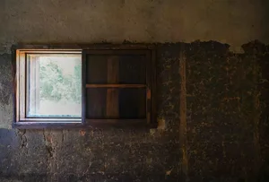 An old, wooden window with a view of greenery outside, set in a cracked, rustic wall.