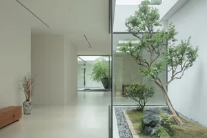 Modern minimalist house interior with glass walls, concrete flooring, and potted greenery.