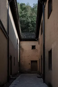 A narrow concrete alley bordered by tall buildings with a view of green foliage above.