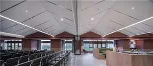 Modern conference room showcasing contemporary design features.