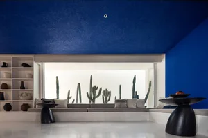 Modern living room with a concrete floor, blue walls, and cactus plant decorations.