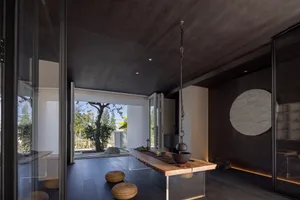 Modern minimalist living room with wood floors, a single tree outside the window, and a hanging pot.
