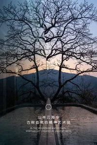 Trees with bare branches reflected in a calm water body with mountains in the background